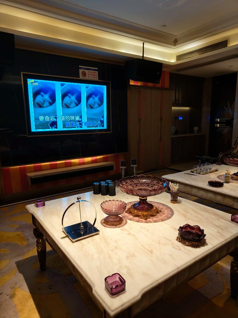 辽阳商务ktv优质商务ktv推荐-辽阳县ktv预定